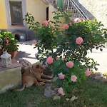 Il Giardino Dei Semplici *