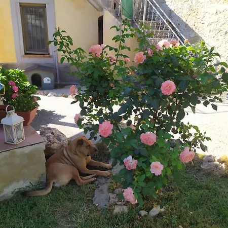 Il Giardino Dei Semplici *