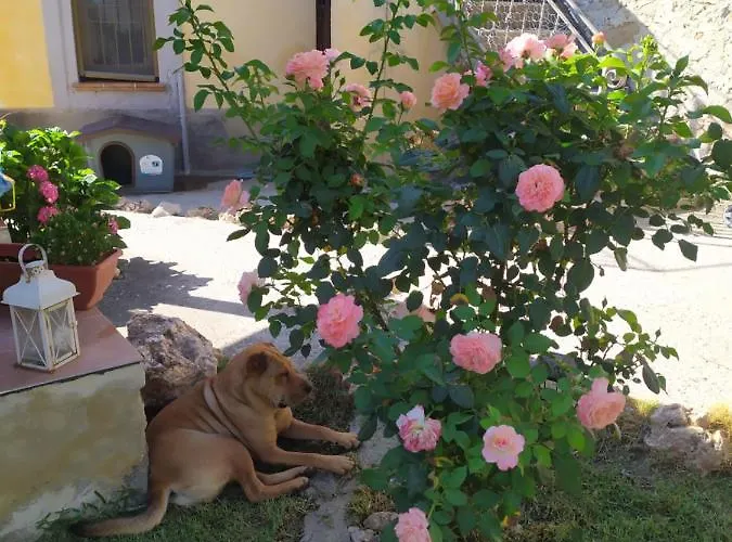 Il Giardino Dei Semplici *